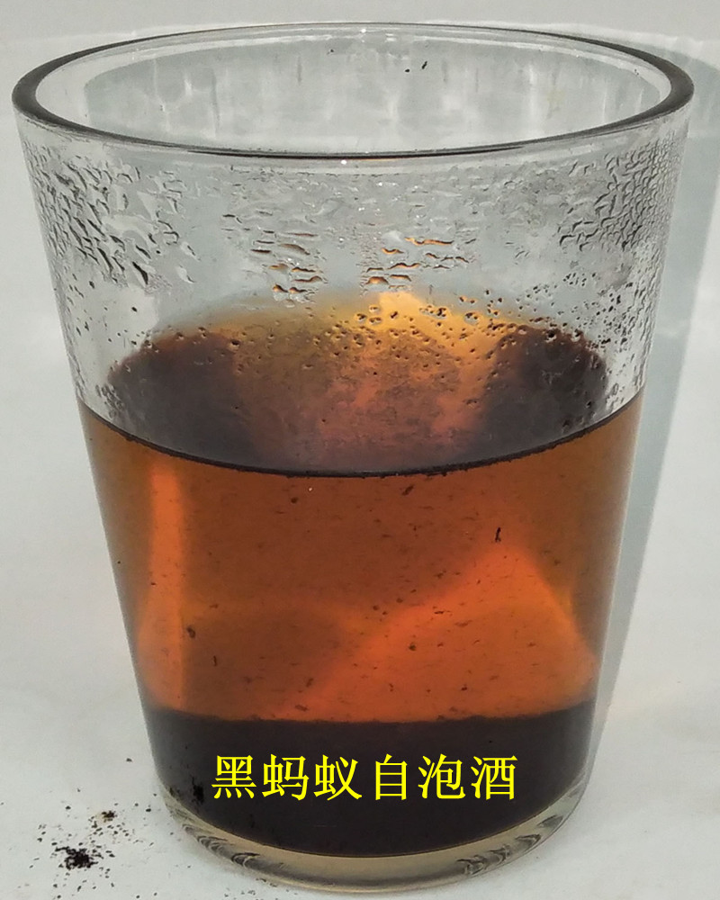 800x1000黑蚂蚁自泡酒.jpg