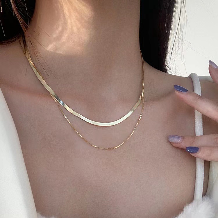 Double-Layer Snake Bones Chain Necklace Women's Flat Sterling Silver Ins Hip Hop Cool Retro Twin Simple Niche Short Necklace