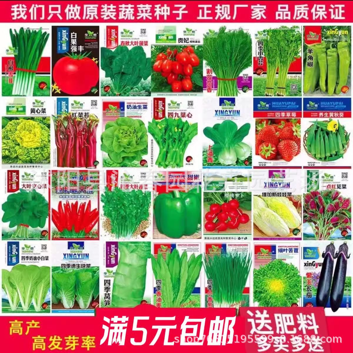 蔬菜种子四季播盆栽阳台庭院香菜青菜萝卜生菜小葱菠菜籽孑大全