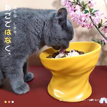 猫碗高脚陶瓷保护颈椎猫粮碗猫咪水碗狗狗食盆斜口宠物喝水防打翻