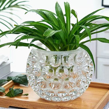 梓简约加厚水晶玻璃花瓶透明绿萝水培花盆圆形水养植物器皿插花摆