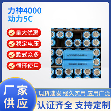 21700力神4000mah动力5c 锂电池 适用电动工具 扭扭车吸尘器电池