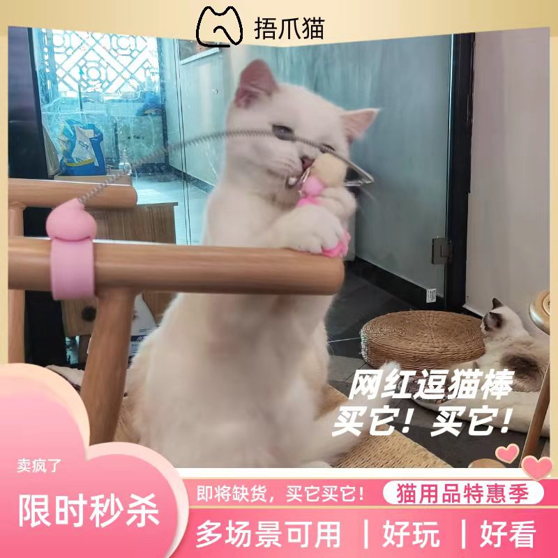 猫玩具解闷自嗨猫咪玩具耐咬羽毛带铃铛耐用啪啪圈逗猫棒项圈逗猫