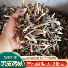 黑皮鸡枞批发云南特产鸡枞菌干货人工种植黑皮鸡枞菌云南鸡枞代发