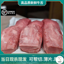 3斤去皮牛舌头整条新鲜牛口条厚切片生鲜烧烤肉食材潮汕牛肉火锅