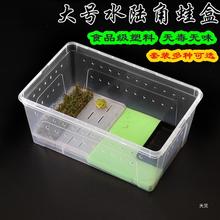 角蛙饲养盒专用两栖饲养箱小乌龟蝾螈蛙带晒台造景爬宠饲养盒包邮