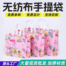 现货覆膜无纺布袋礼品包装袋 彩印广告宣传手提服装袋加印logo