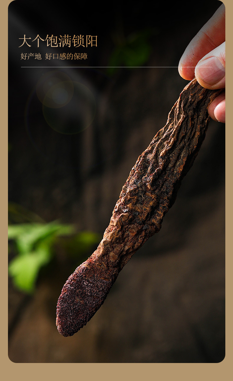 淳滋堂锁阳150克罐装 瓶装锁阳 可搭配肉苁蓉淫羊藿 批发厂家直销