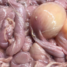 包邮5斤鸡肠子新鲜冷冻生蛋包肠母鸡下蛋肠子(无鸡粪)鸡输卵管