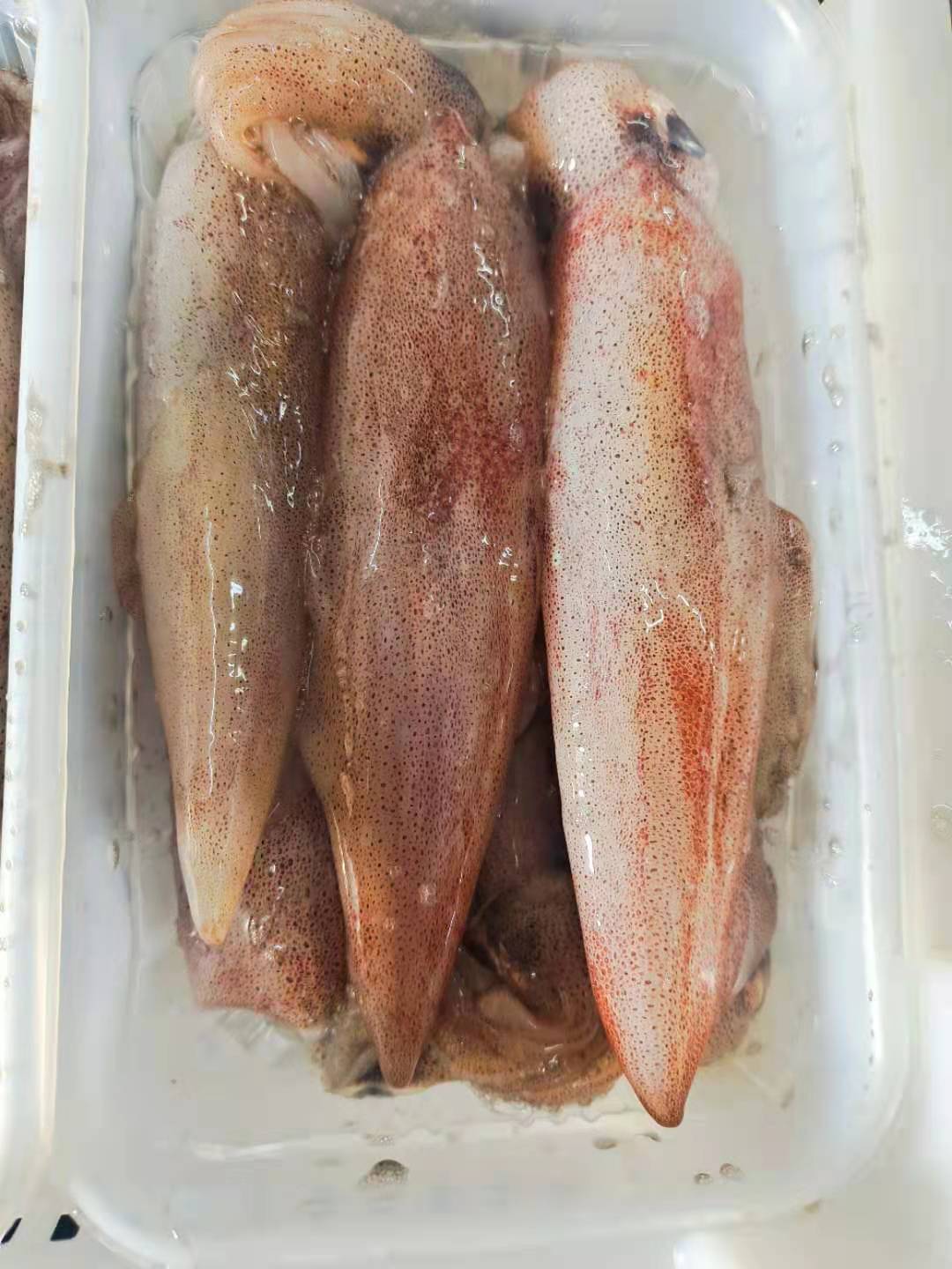 母管 母鱿鱼 带籽鱿鱼母 一手供应各大平台 酒店 餐厅 排挡