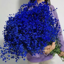 满天星永生花批发大束满天星网红客厅家居装饰摆件送人生日礼物