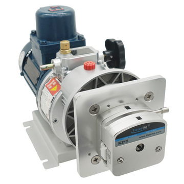 fb20电动防爆蠕动泵低转速大扭矩环境复杂化工实验精密液体输送