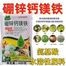 富易得硼锌钙镁铁微量元素肥料 蔬菜水果花卉番茄黄叶卷叶叶面肥