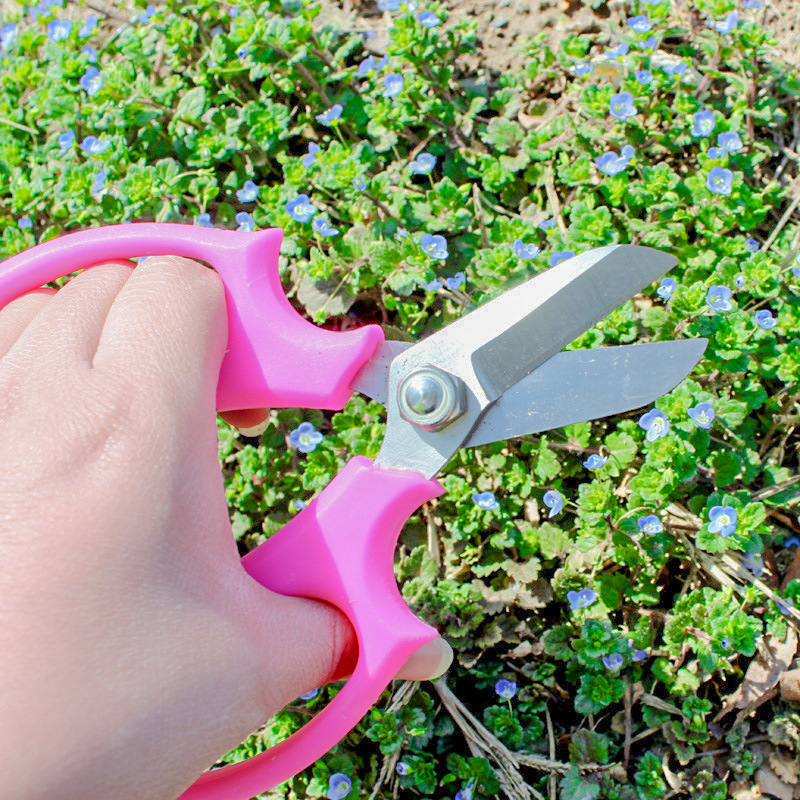 五金园艺修枝工具花艺剪刀宽头家用修花剪插花花道剪花枝花店剪刀