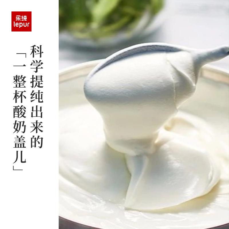 乐纯经典原味希腊酸奶益生菌低温活菌酸奶原味*6盒