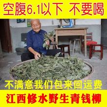 江西修水青钱柳青钱柳原叶茶青钱柳茶清金钱柳茶叶