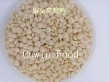 猴头菇颗粒  膨化熟化能量棒营养棒蛋白棒运动营养代餐