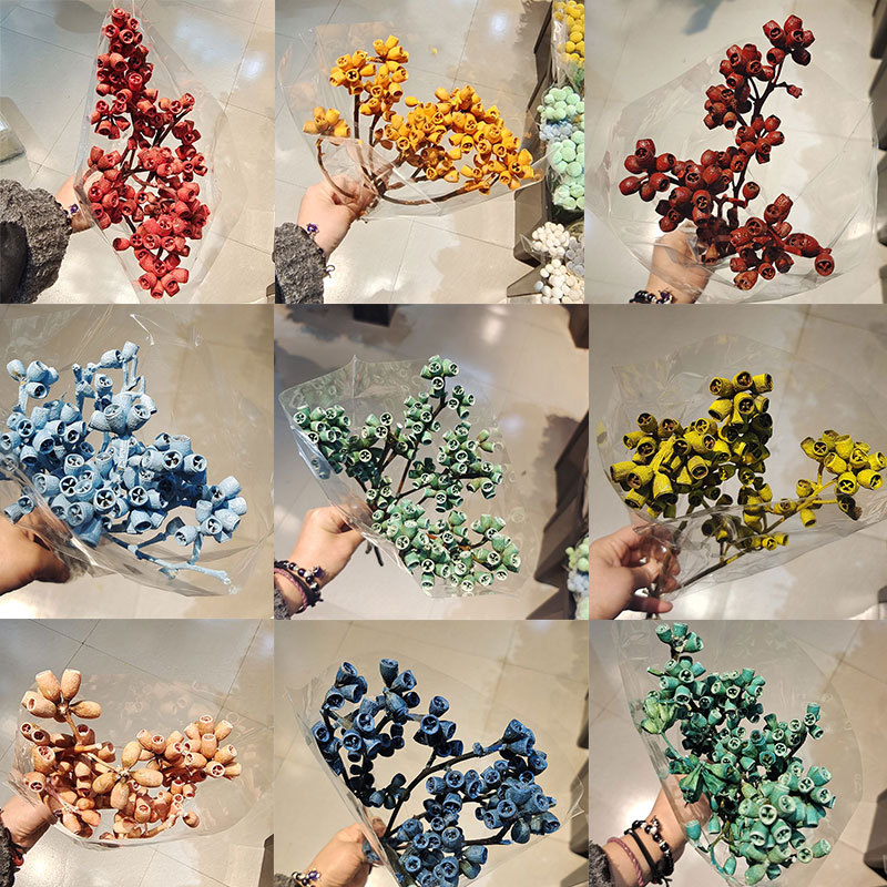 彩色尤加利果天然植物永久保鲜安树果僵尸果插花花材永生花