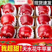 热卖甘肃天水花牛苹果10斤新鲜水果当季平果红蛇粉面丑果整箱