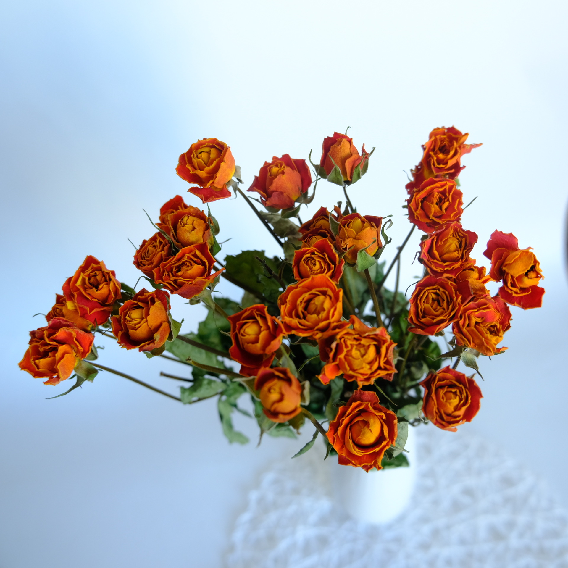 多头玫瑰干花 多头泡泡自然风干滴胶香薰蜡烛压花花材批发花束