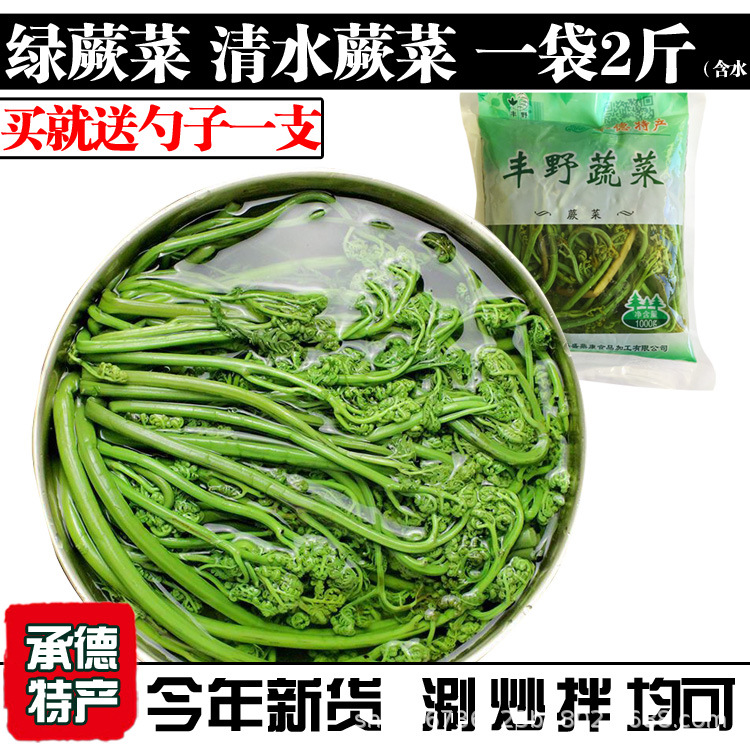 蕨菜新鲜 2斤蕨菜山蕨菜水蕨菜猫爪龙头菜拳头菜蕨菜干清水保鲜装