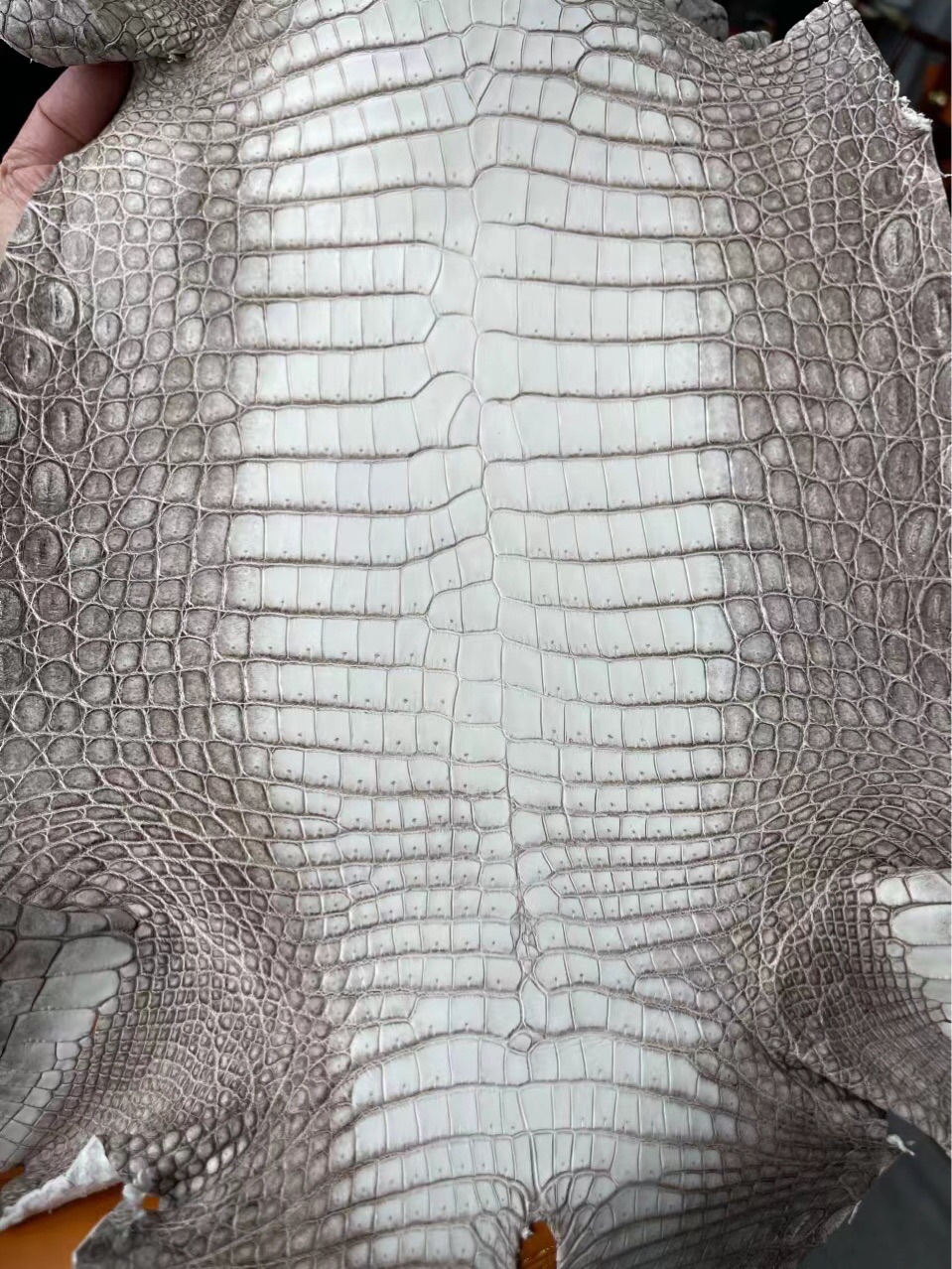 喜马拉雅鳄鱼皮皮料鳄鱼皮整张批发非鳄鱼纹高端皮料批发供铂金包