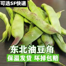 【超值】精品东北油豆角一点红新鲜蔬菜开锅烂无筋超宽九月青批发