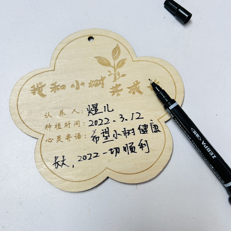 10片木质挂牌 学校植树节吊牌 树木认养牌 植物标签牌 名字卡