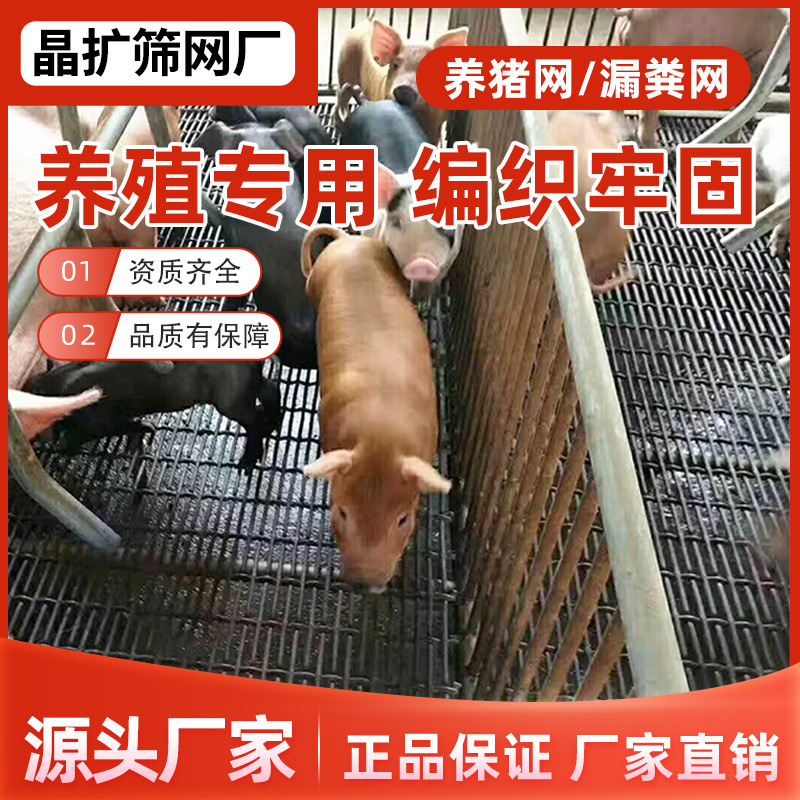 猪床网猪产床网