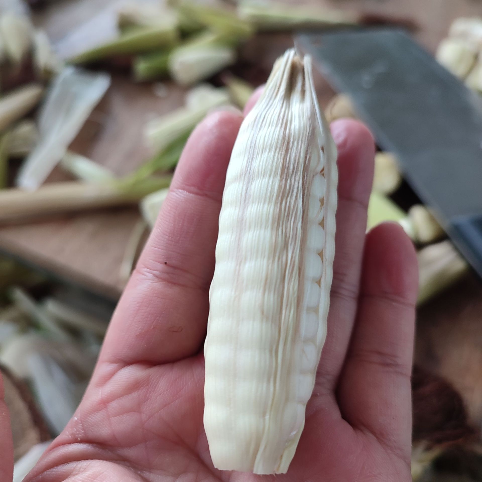 西双版纳雨林情怀拇指小玉米珍珠迷你儿童宝宝 即食代餐粗粮 批发