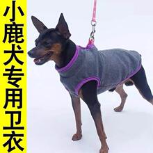 小鹿犬衣服加绒加厚纯色带牵引摇粒绒吉娃娃柯基杜宾无袖宠物服装