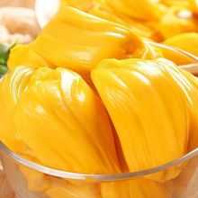 海南三亚菠萝蜜新鲜水果现摘木波罗蜜一整个黄肉整箱批发特价包邮