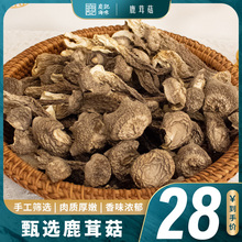 鹿茸菇新鲜干货【庆记】脆菇精选鹿茸菇蘑菇云南香菇类无硫煲汤