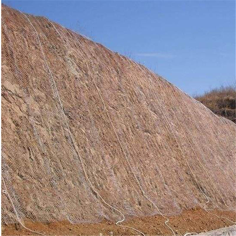 边坡喷浆 边坡支护镀锌铁丝网 山体挂网 喷浆钢丝网 绿化喷浆网