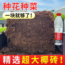 椰糠椰土养花种菜基质通用型椰壳砖种植土营养土脱盐大块椰砖批发