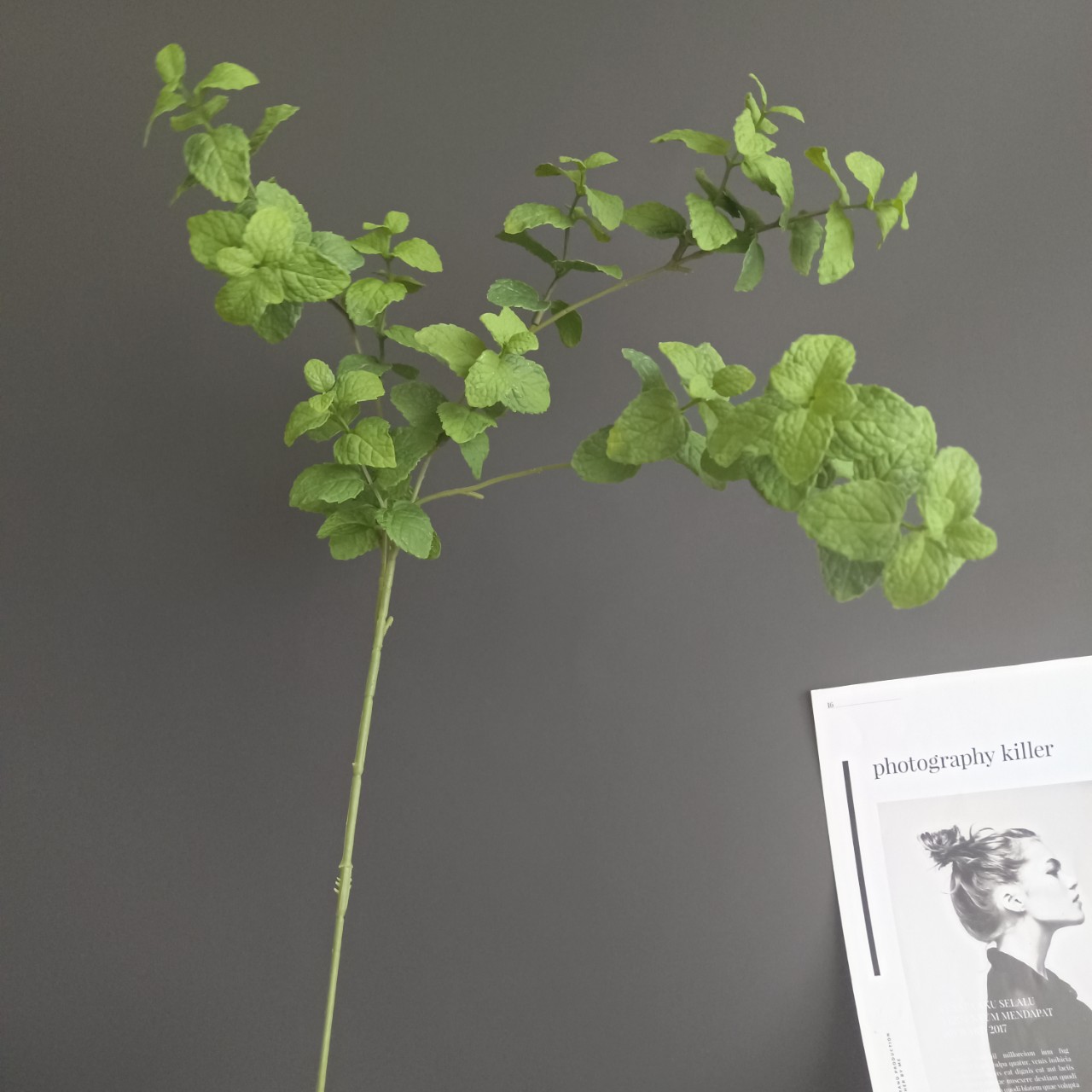 仿真植物叶材3叉薄荷叶 北欧家居样板间酒店婚庆设计装饰插花批发