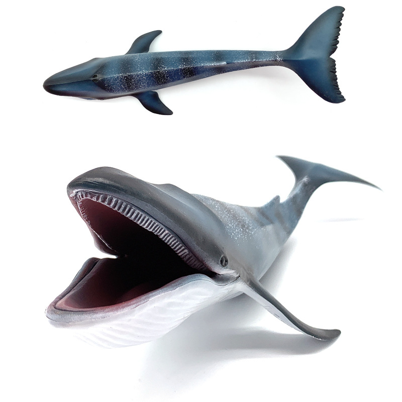 儿童空心硬质仿真海洋生物模型蓝鲸鲸鱼 过家家玩具 科教认知玩具