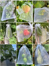 袋子葡萄西红柿水果套袋保护网番茄套袋防虫无花果防鸟草莓袋
