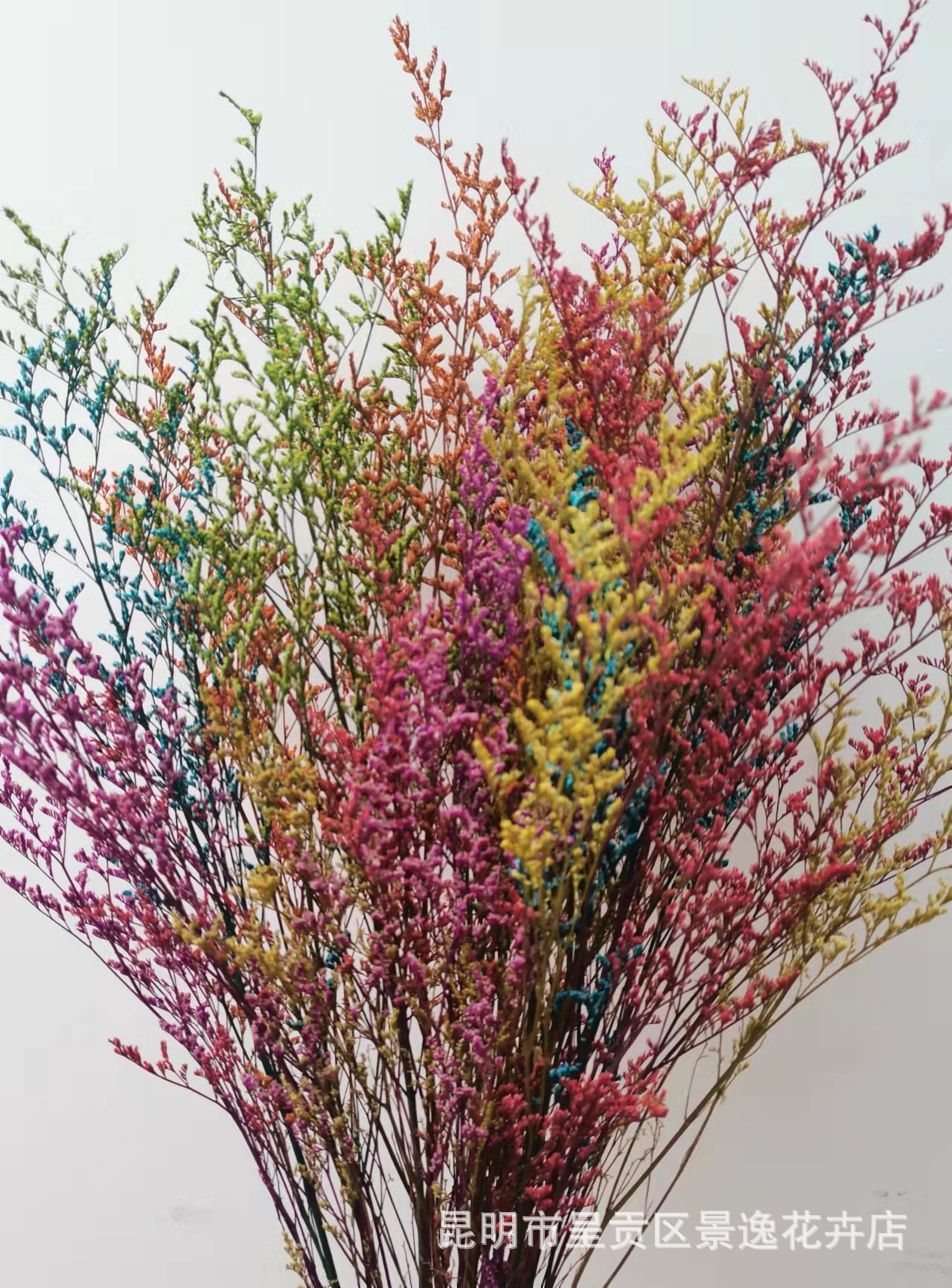 云南永生情人草批发 情人草干花永生花 情人草厂家直销120克/束