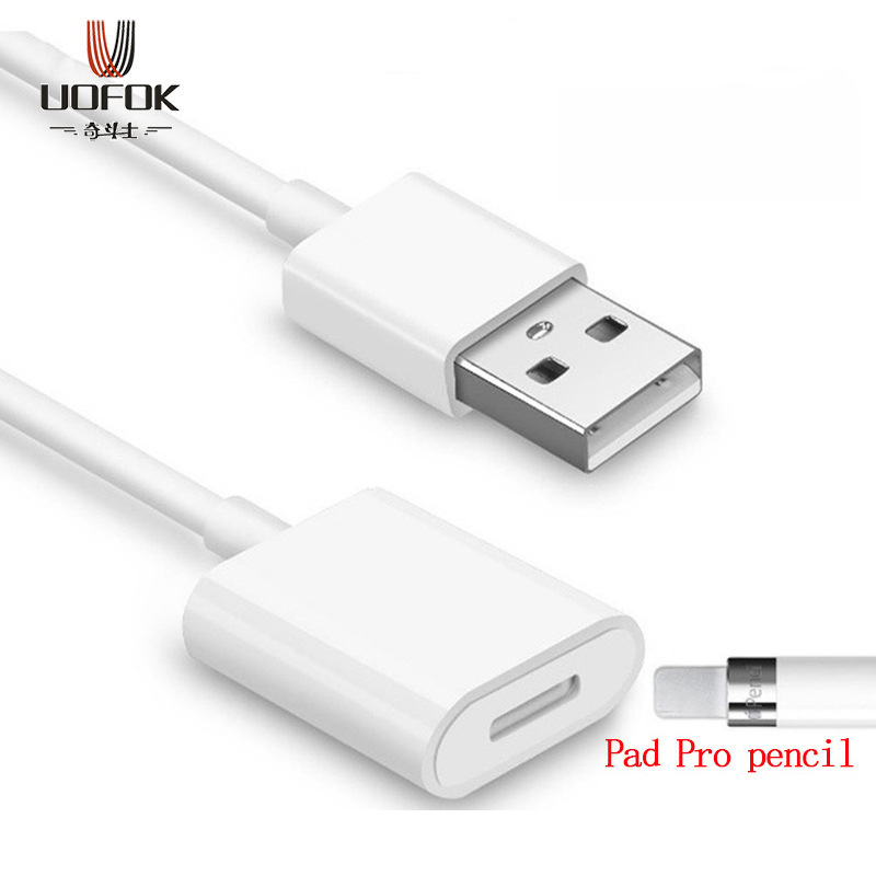 跨境适用苹果apple电容笔手写铅笔pencilusb转lightning母充电线