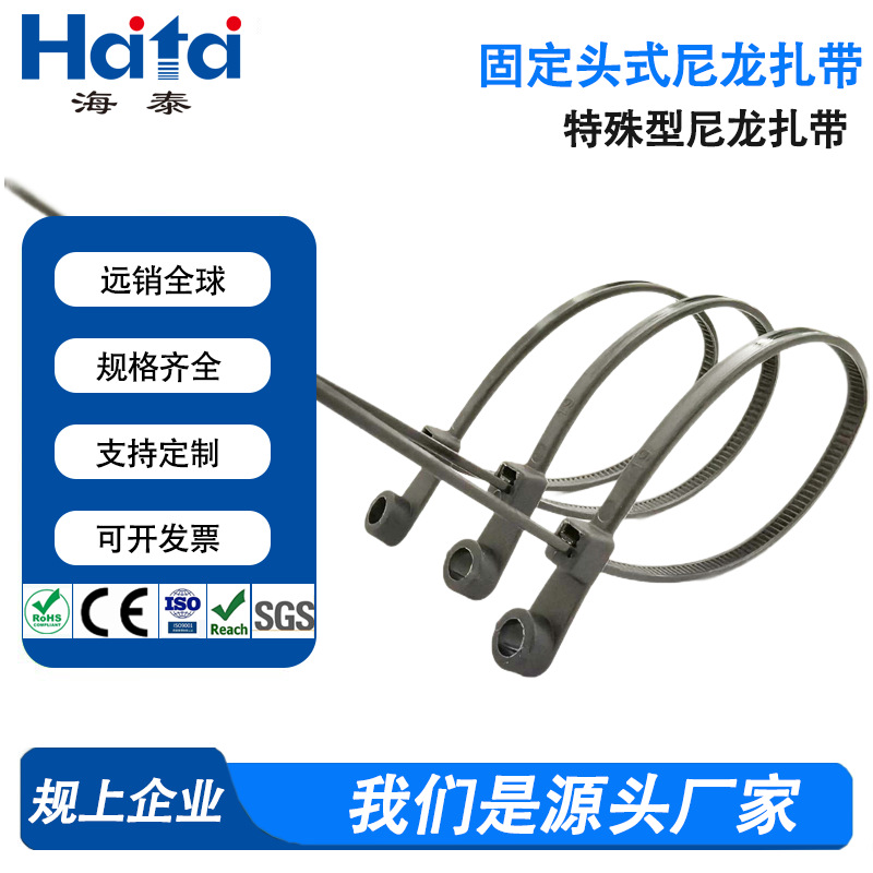 海泰固定头式扎带定制尼龙自锁式扎线带塑料螺丝孔卡扣圆孔束线带