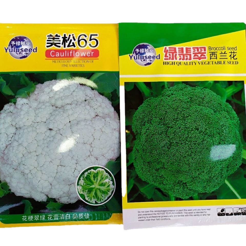绿翡翠西兰花种 中早熟白松花菜散家庭阳台小菜园种子3克兰花菜种
