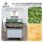 中央厨房净菜设备 韭菜芹菜切段机 全自动蔬菜切段切条切菜机防水
