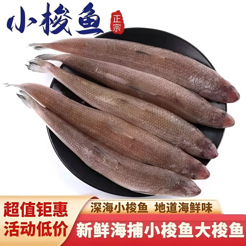 十里馋【顺丰】海捕新鲜小梭鱼深海鱼梭子鱼冷冻沙丁鱼大梭鱼4斤