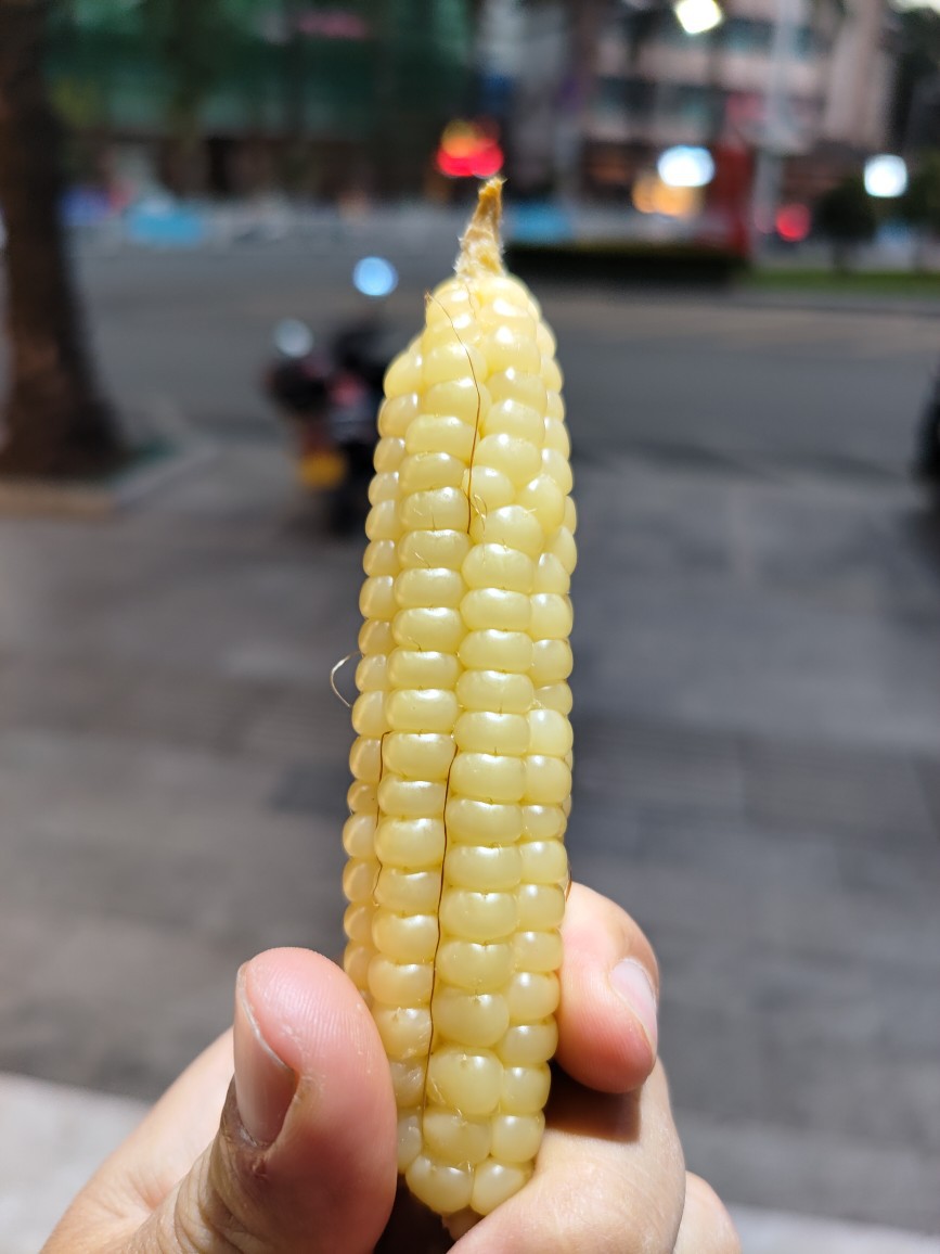 非转基因包谷-非转基因包谷厂家,品牌,图片,热帖-阿里巴巴