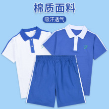 小学生班服深圳校服夏季女童短袖polo衫短裤男童运动服套装批发