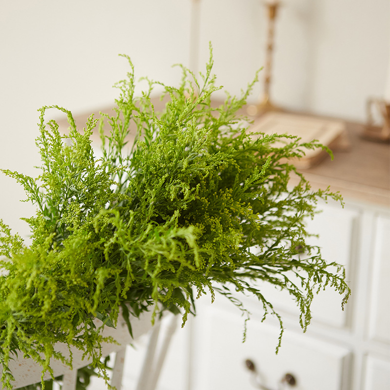 黄莺草云南昆明鲜花基地直发黄莺配草鲜切花草花配花批发20支一扎