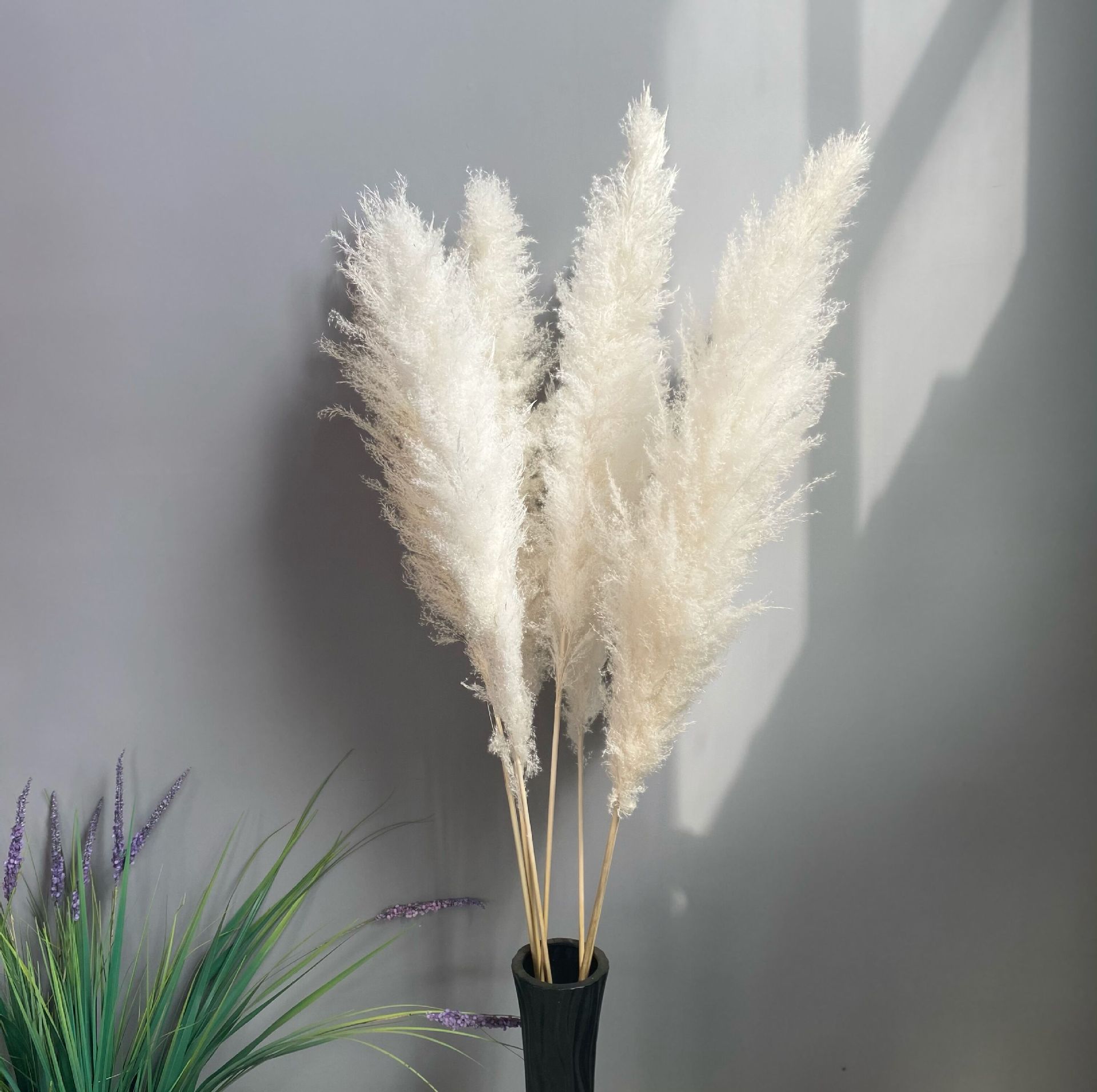 天然芦苇干花花束超大蓬松北欧落地装饰婚礼现场布置大穗蒲苇批发