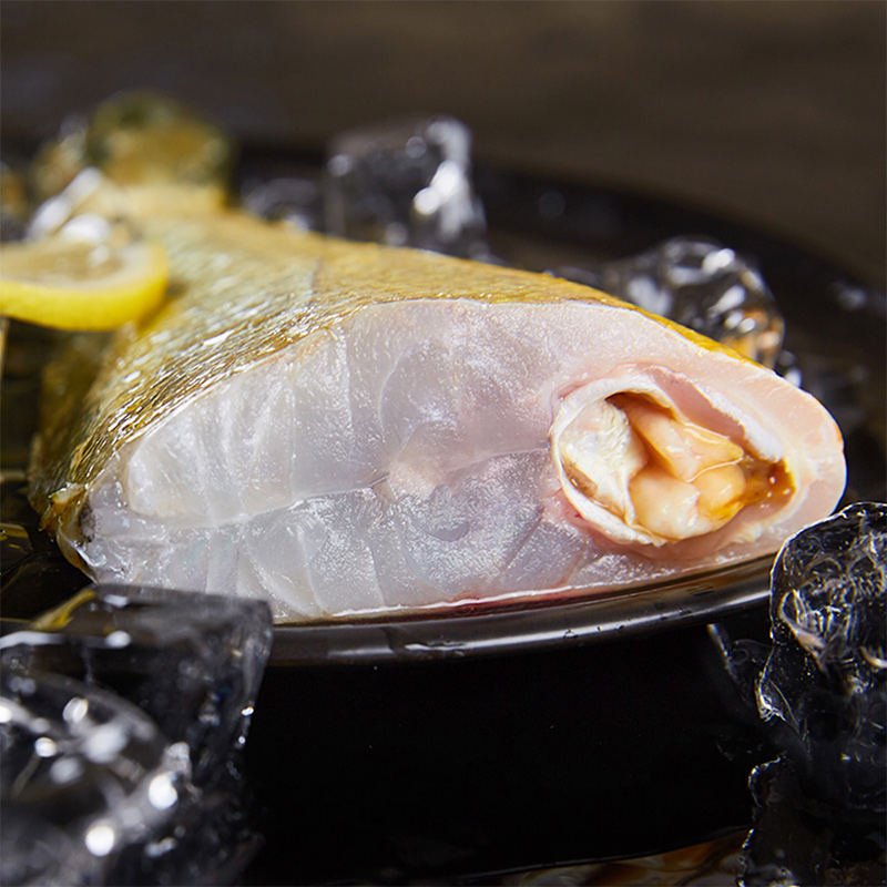 三都港冰鲜黄花鱼 新鲜宁德深海鱼现捕现发大黄鱼 1.1-1.