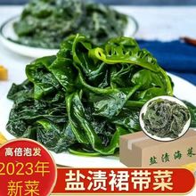 裙带菜批发盐渍半干海白菜海藻菜海带凉拌菜麻辣烫食材商用火锅店